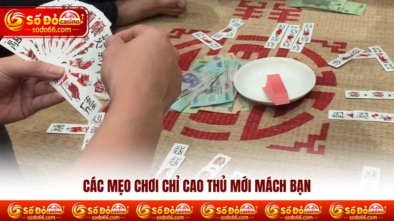 Các mẹo chơi chỉ cao thủ mới mách bạn Các mẹo chơi chỉ cao thủ mới mách bạn