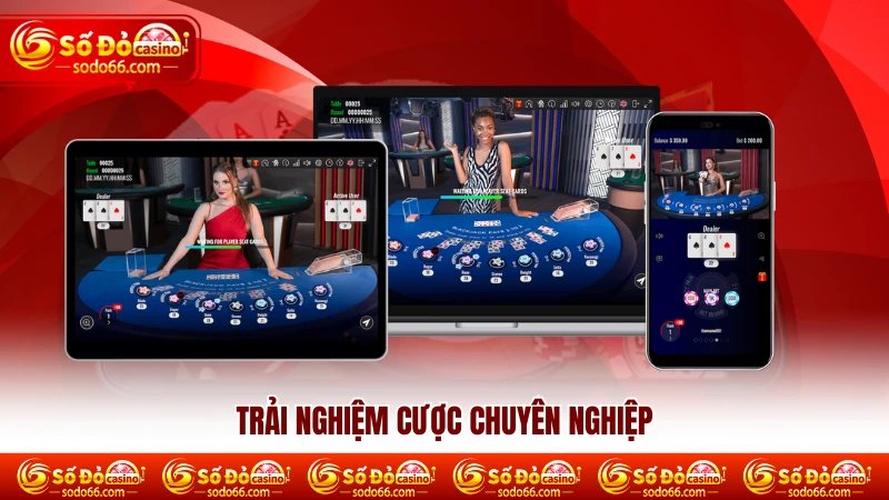 Trải nghiệm cược chuyên nghiệp 