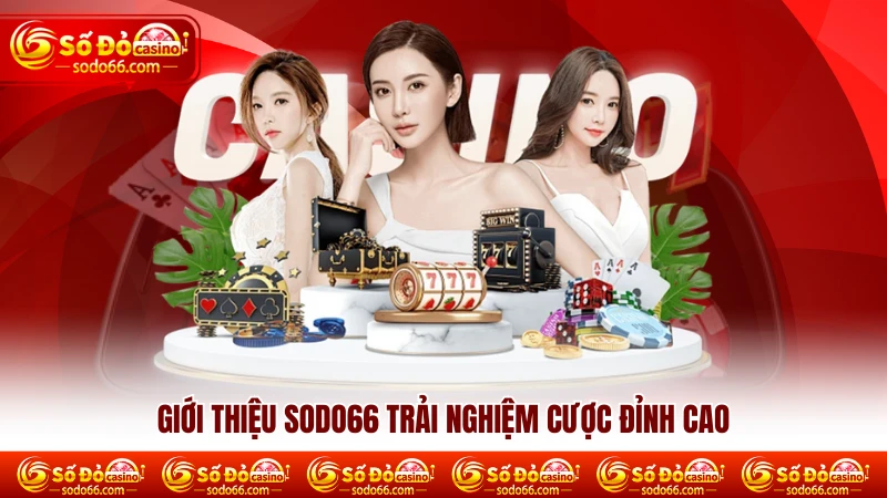 Giới thiệu SODO66 trải nghiệm cược đỉnh cao